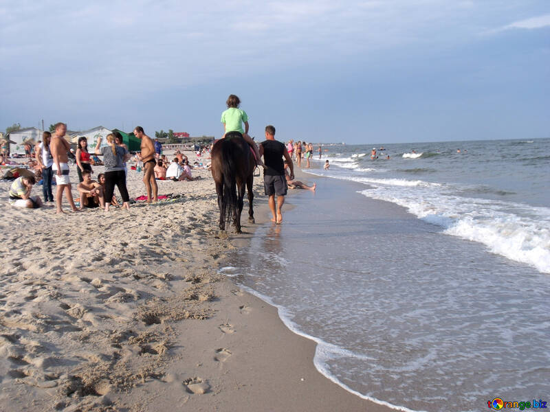 Passeggiate cavallo sulla spiaggia №13498