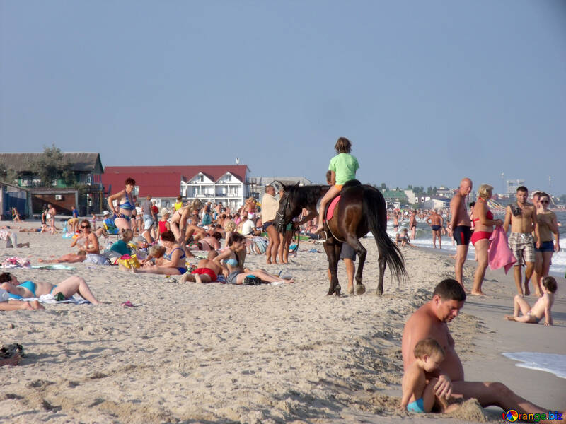 Passeggiate cavallo sulla spiaggia №13533