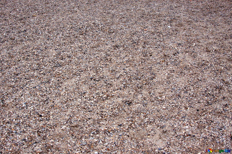 Sand and shells №13854