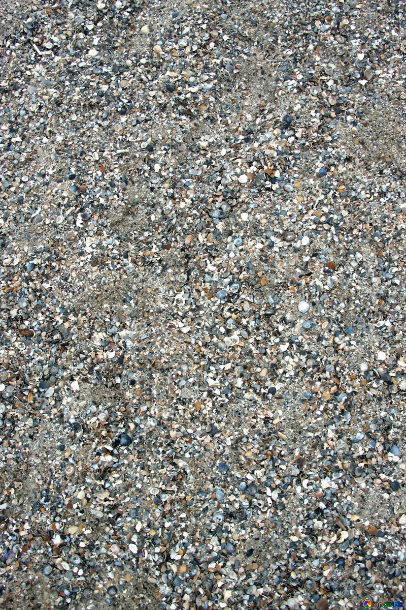 砂と貝殻 №13870