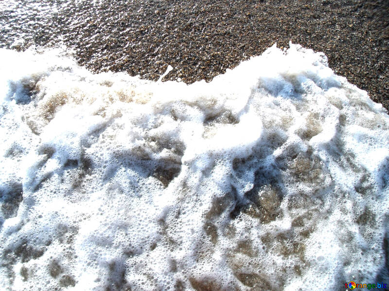 Sea foam №13561