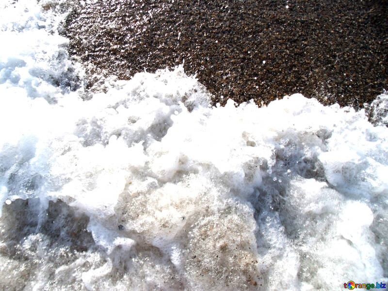 Sea ​​foam №13564