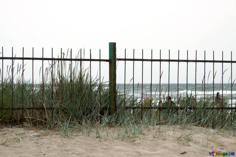 Playa detrás de la cerca №13375