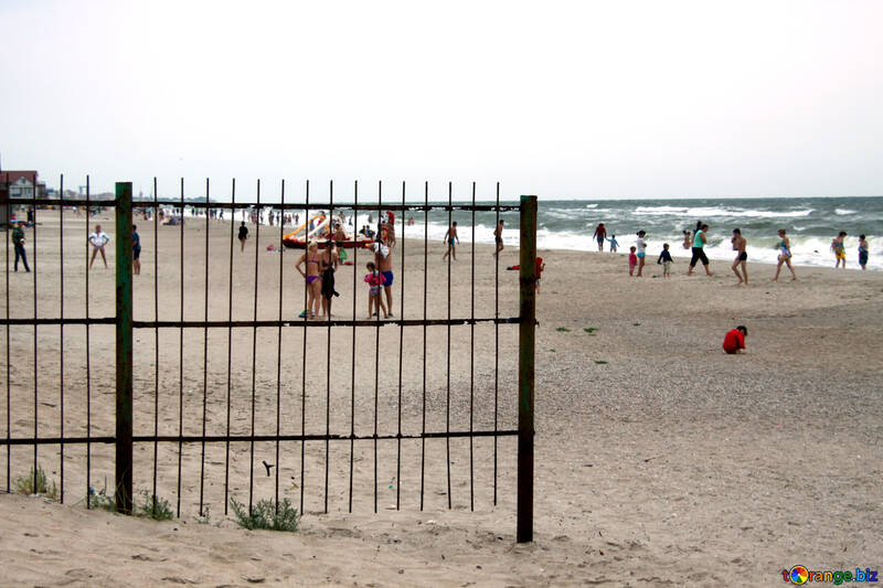 Fence on the beach №13395