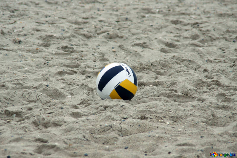 Volleyball №13695