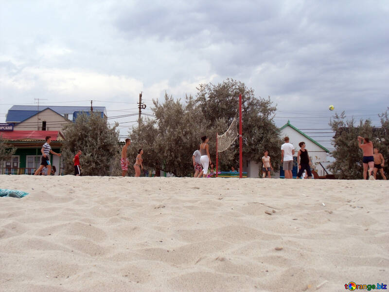 Volleyball on the beach №13636