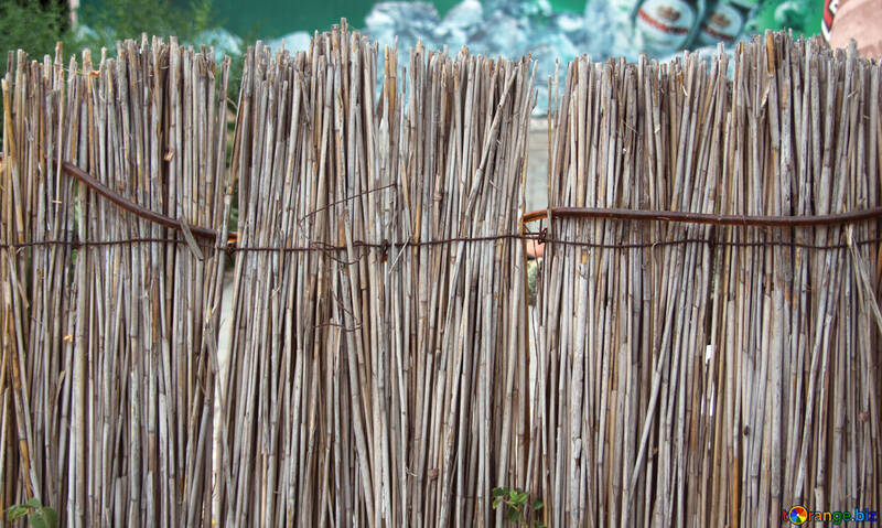 Texture of reed fence №13988