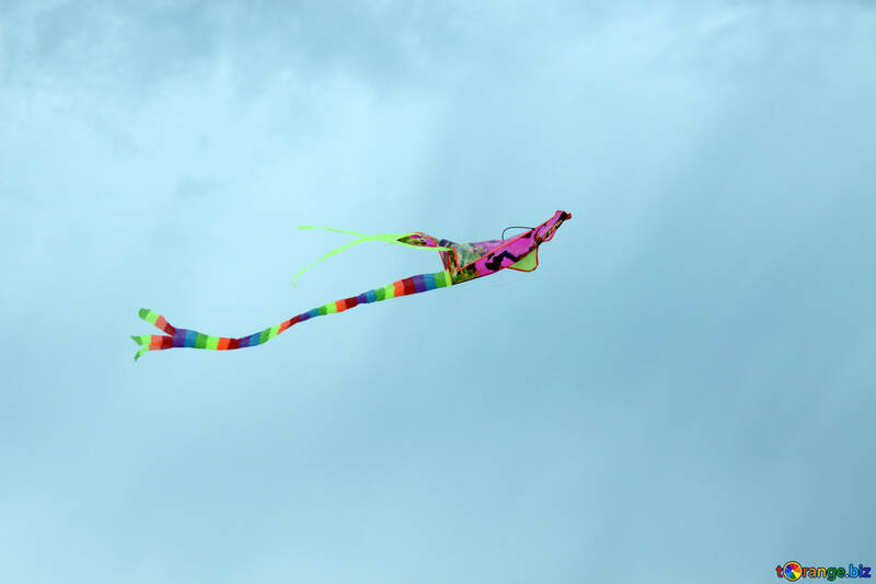 Fly kite №13403