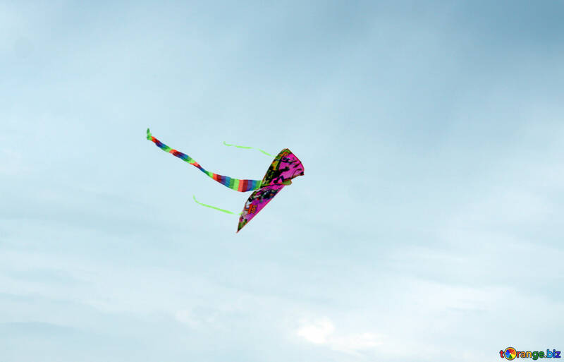 Flying kite №13414