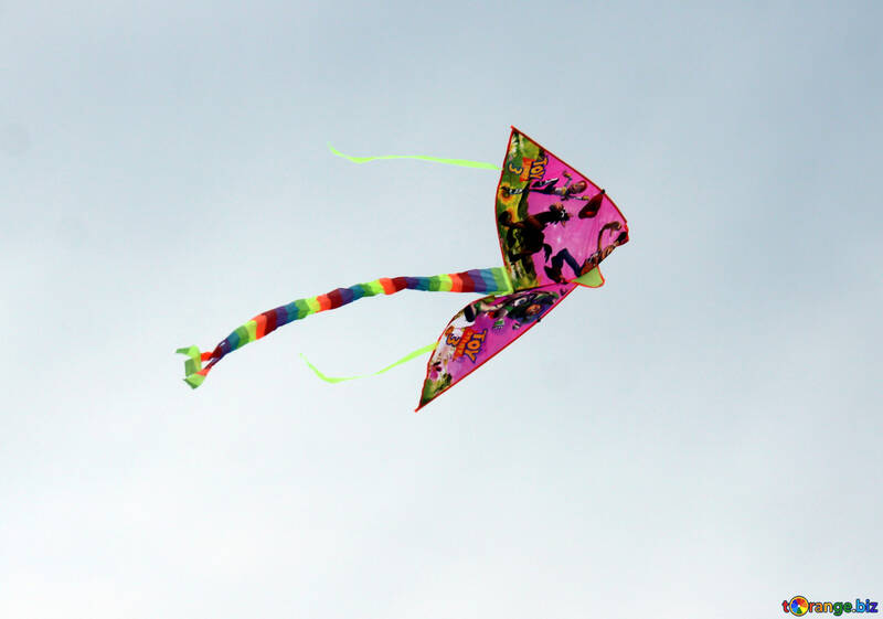 Kite №13408