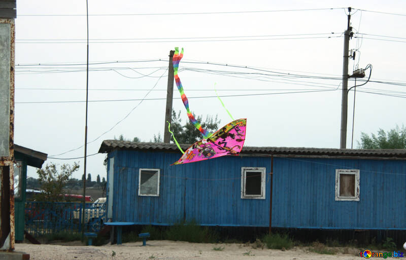 Tombe de kite №13409