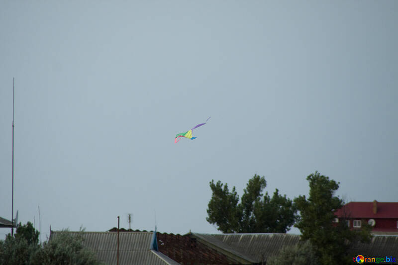 Drachen fliegen über die Dächer №13413