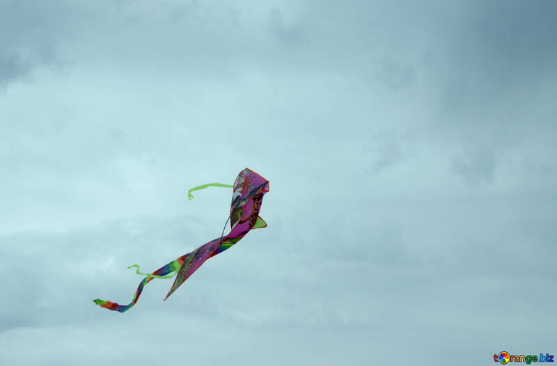 Kite in the sky №13404