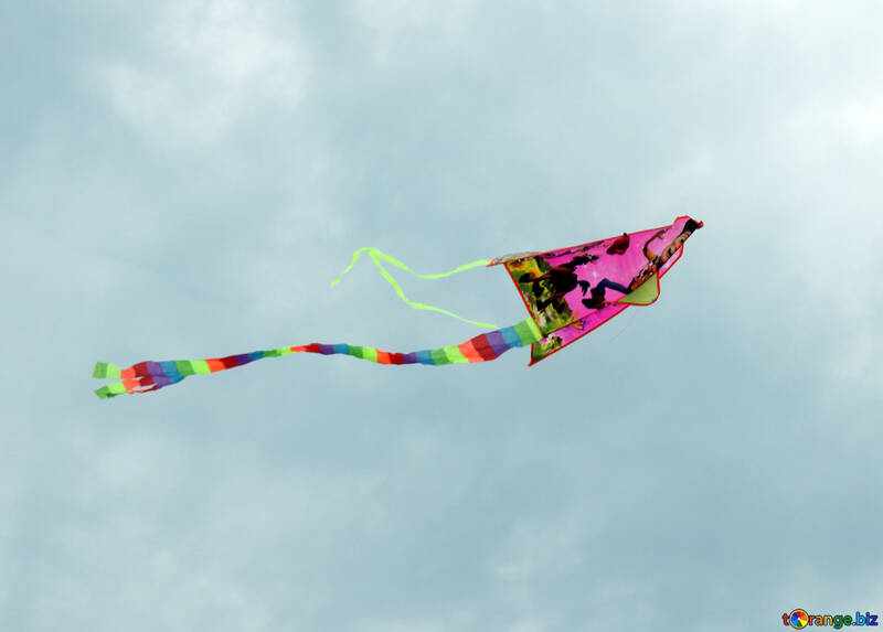 Kite in the sky №13405