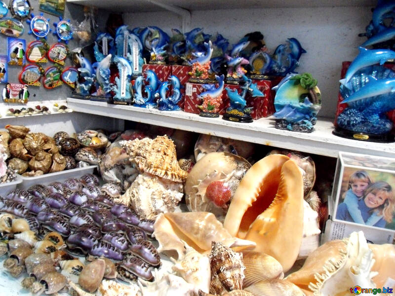 Sale of souvenirs and shells №13634