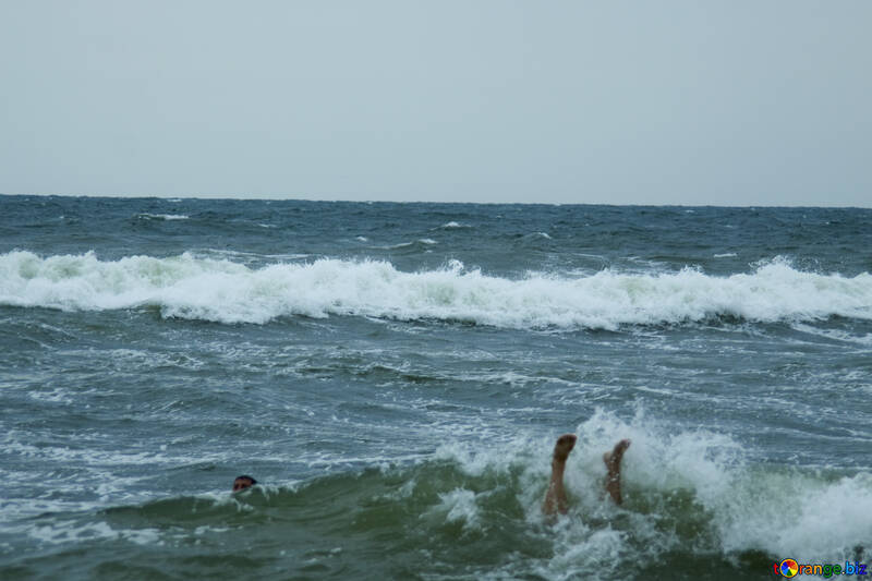 Dangerous waves №13434