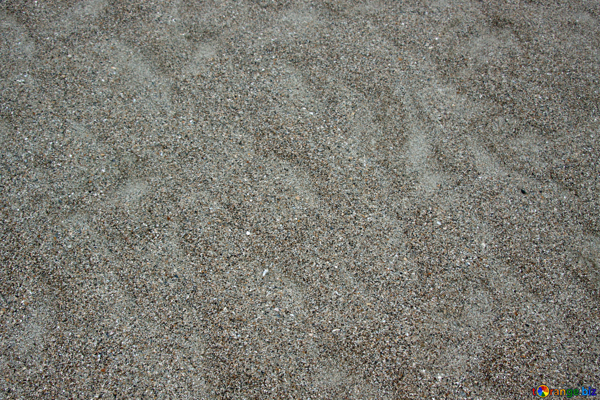 土地のテクスチャ 無料の写真 テクスチャ海砂 無料の写真 エコロジー Torange Biz