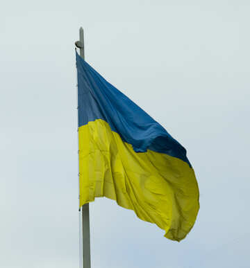 Yellow-blue flag №14783