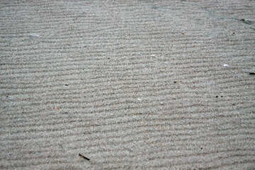 Texture of beach sand №14418