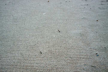 Wellige Sand Textur №14427