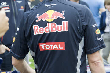 Equipo Red Bull №14801