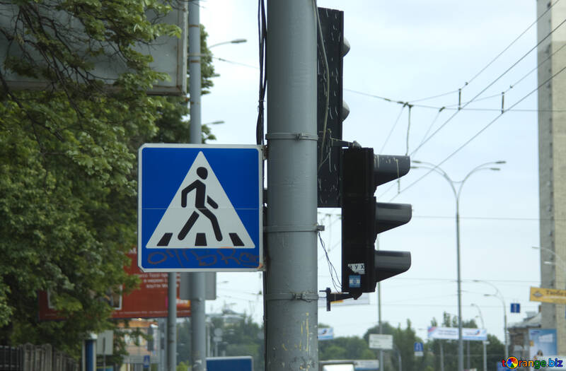 Controlled pedestrian crossing №14676