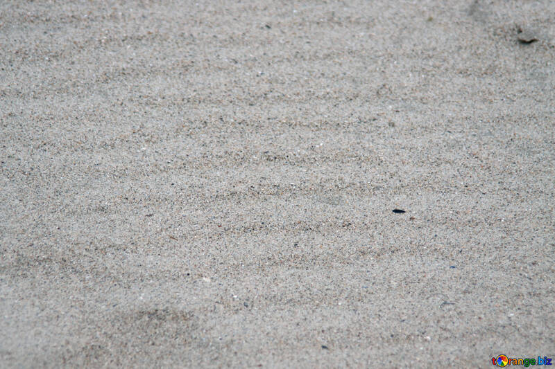 Texture of sand dunes №14375