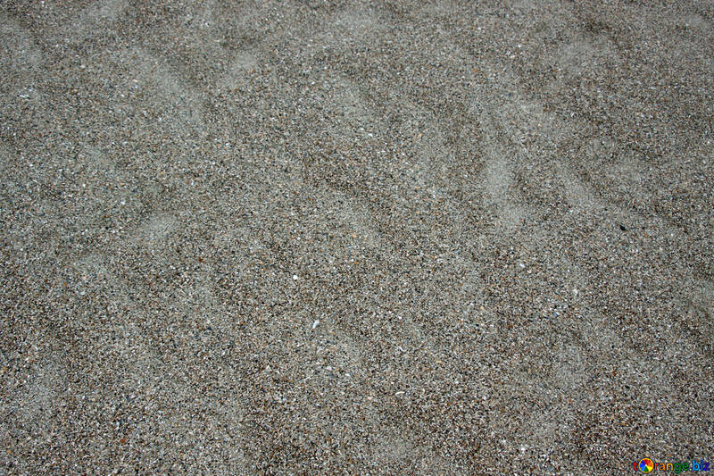 Sable de mer texture №14448