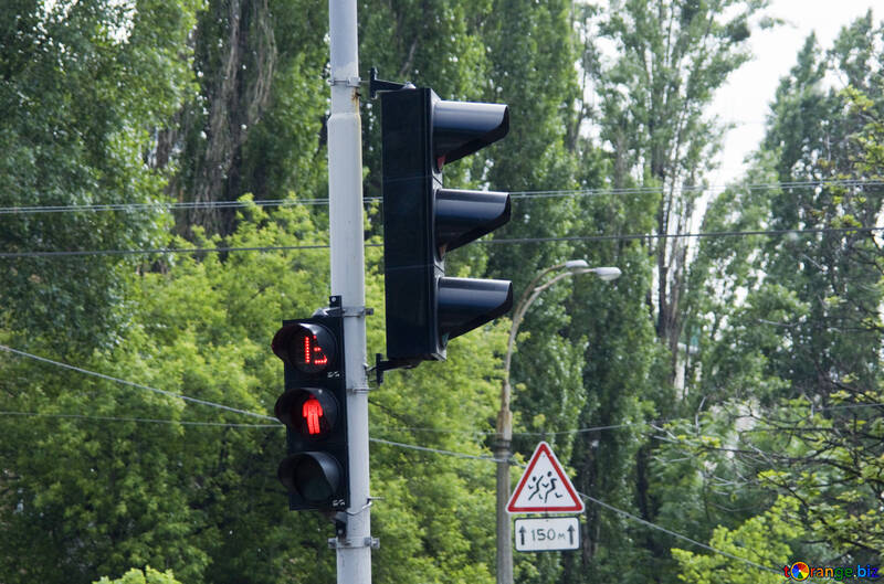 Traffic light cautiously children №14816