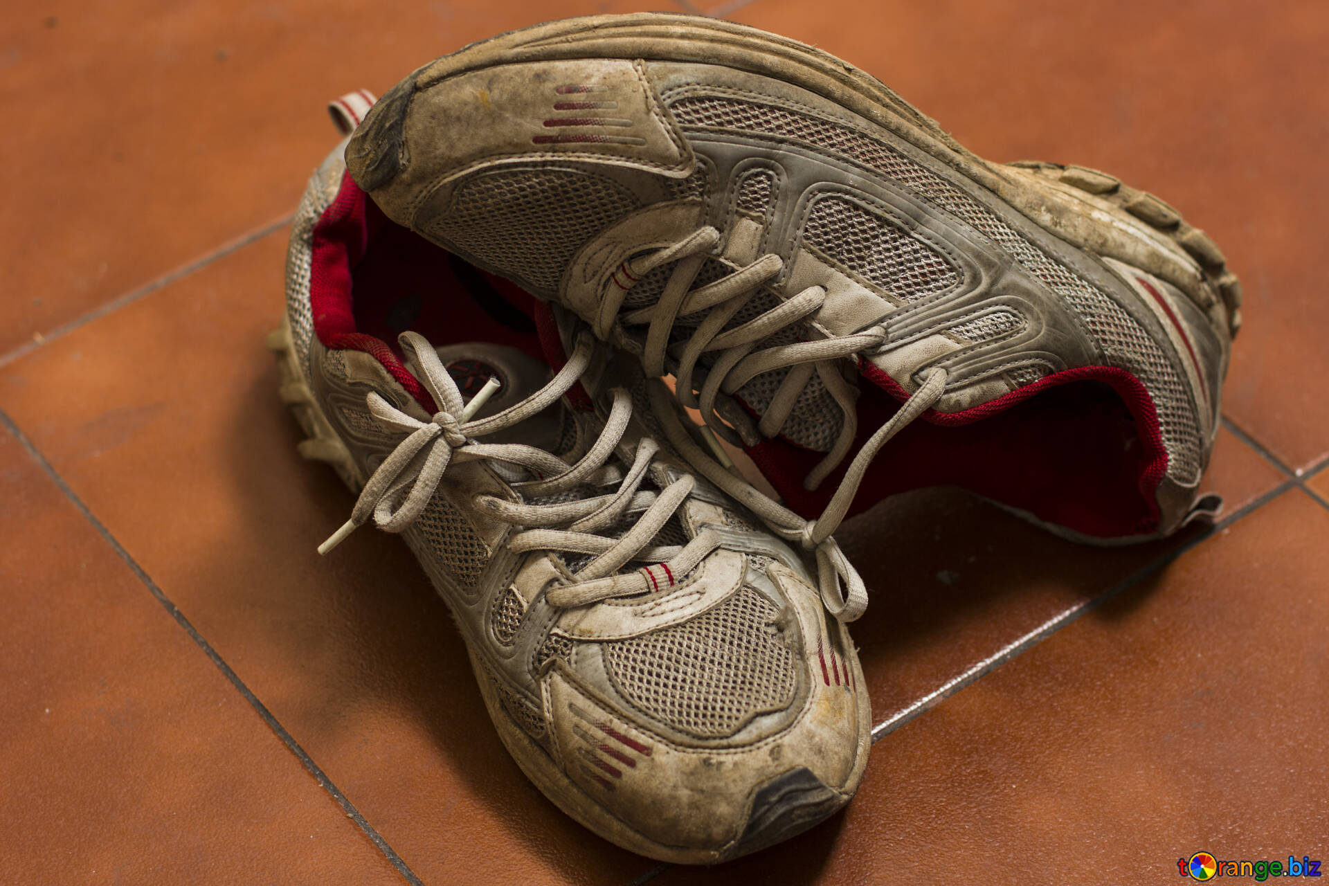 RV smells- How to find, eliminate and prevent them from ruining your adventure. dirty pair of tennis shoes.
