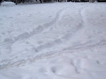 Car track in snow №15587