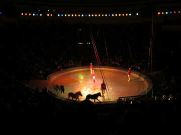 Arena circo №15776