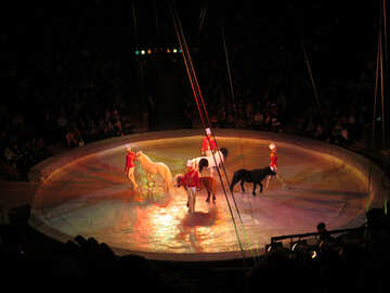 Zirkus mit pony №15783