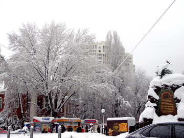 Winter in the City №15618