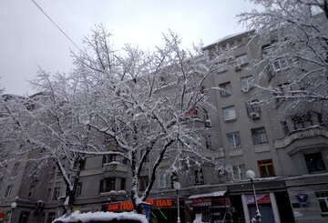 Winter-Stadt №15628