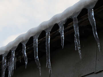 Icicles №15511