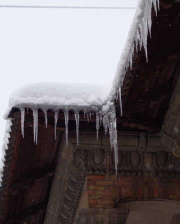 Icicles №15588