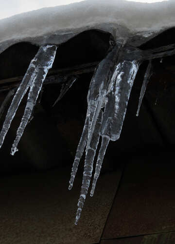 Large icicles №15525