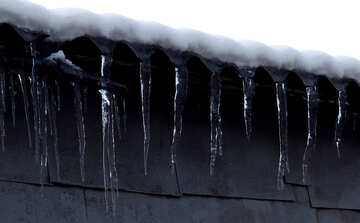 Several of icicles №15512