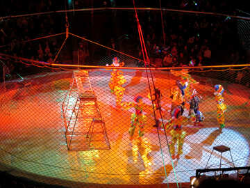 Circo №15841