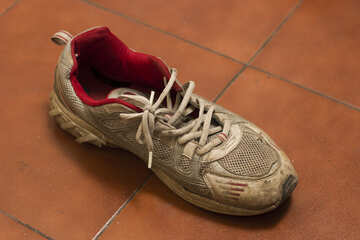 Zapatos chinos №15444