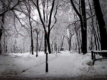 Parque de nieve №15603