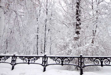 Parque en invierno con nieve apilado №15607