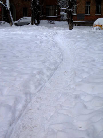 The path in the snow №15586
