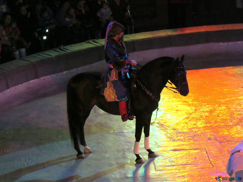 Horse in the circus №15790