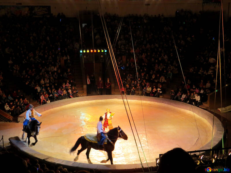 Zirkus-Pferde №15789