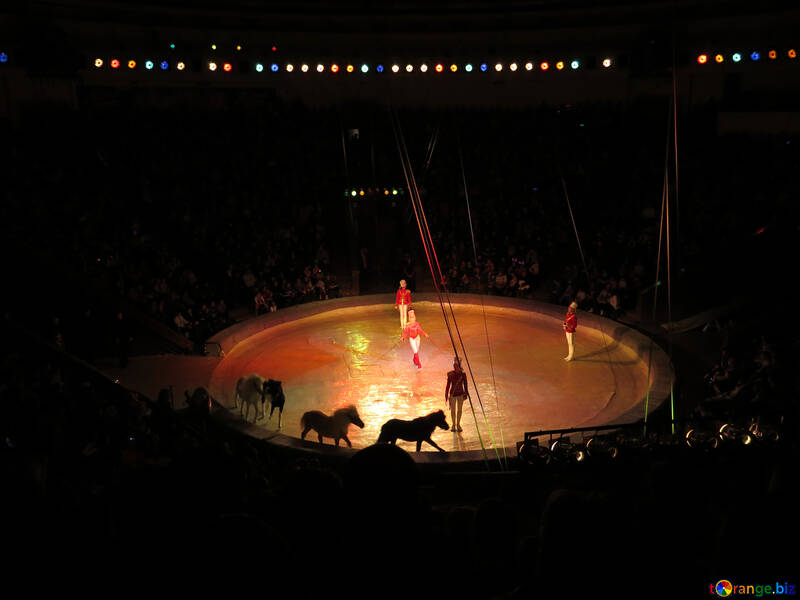 Arena circo №15776