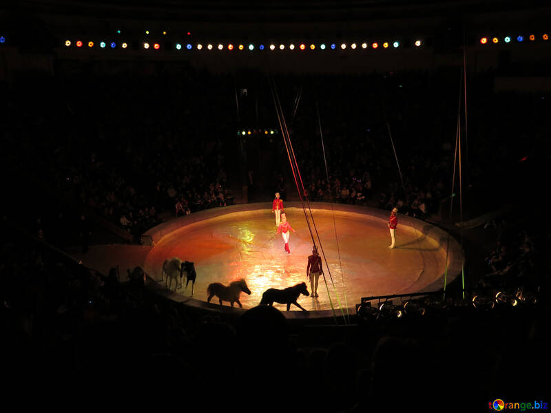 Arena de circo №15776