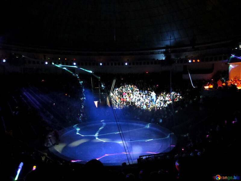Arena circo №15808