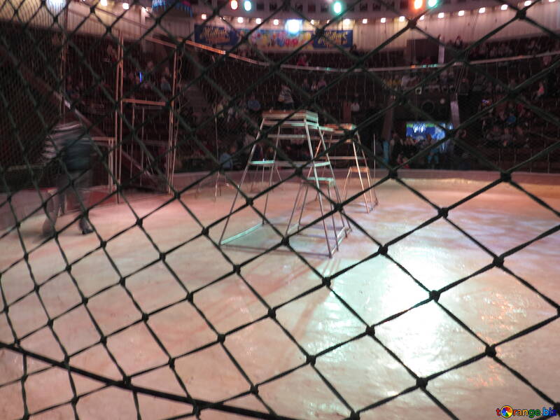 Net circus №15876